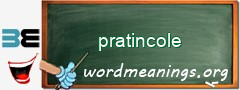 WordMeaning blackboard for pratincole